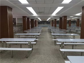 廣東鴻美佳家具廠專業定制不銹鋼餐桌椅 品質、定制與價格解析